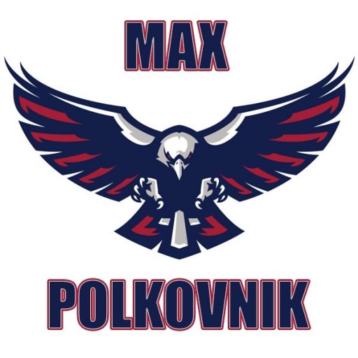 MAX-POLKOVNIK gravatar